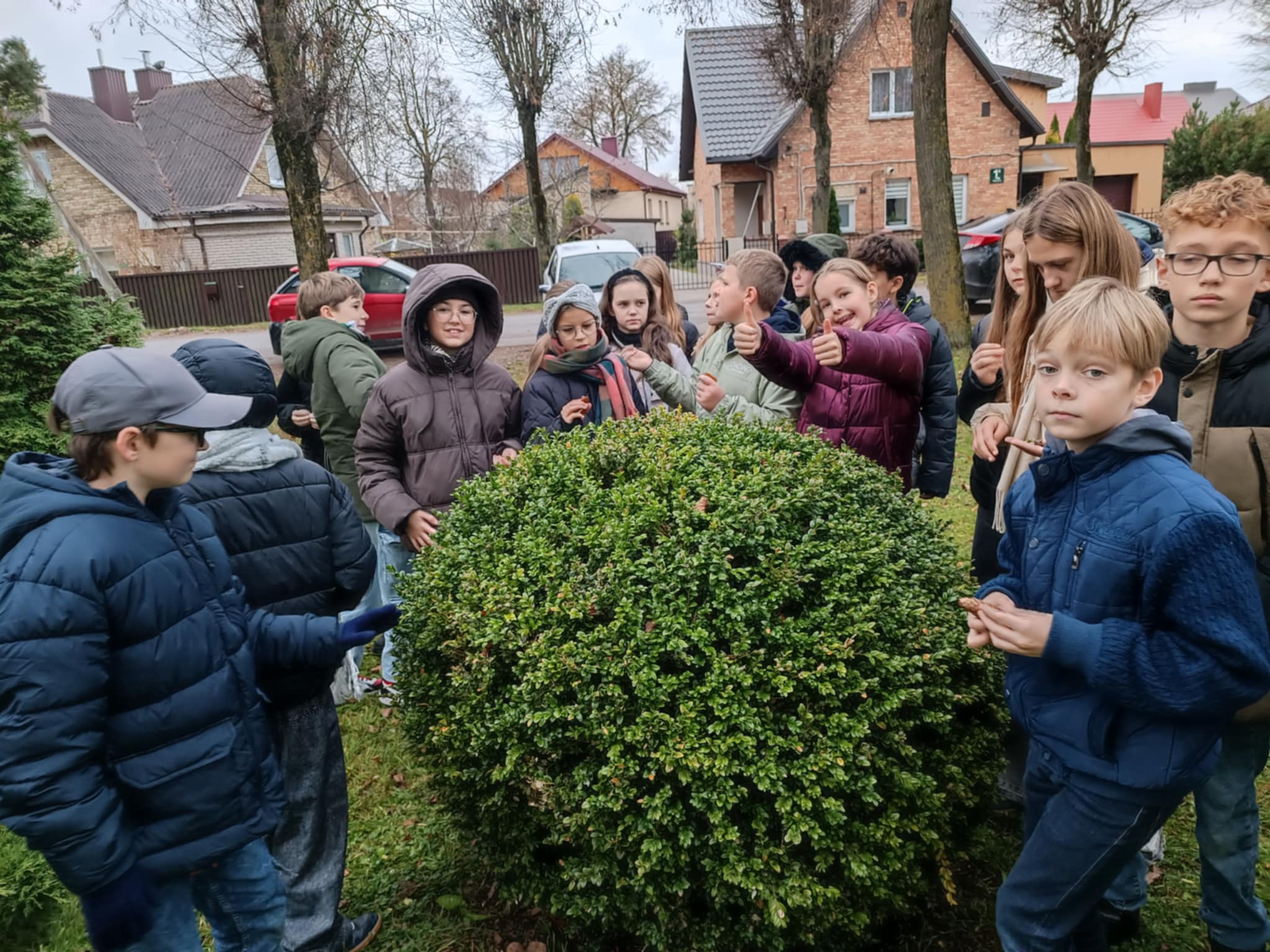 Netradicinė gamtos pamoka „Medžių paveikslai“ 5-okams