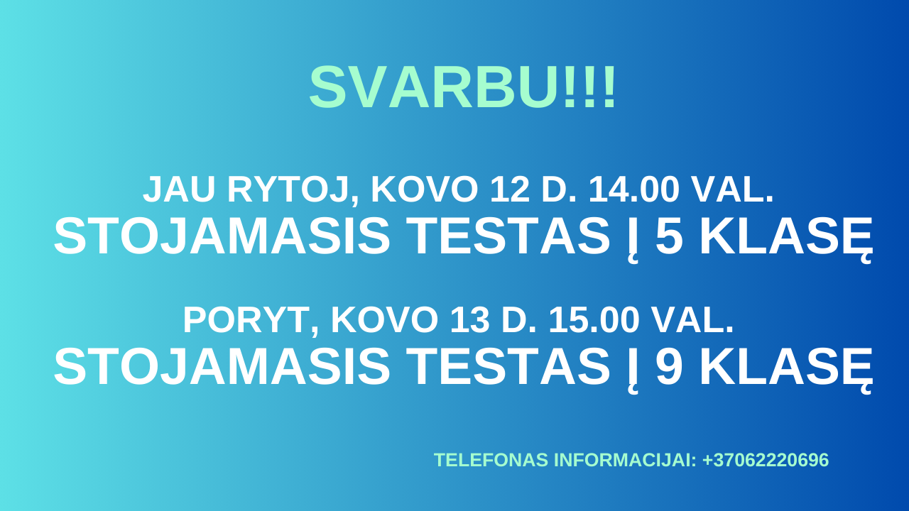 Įrašas be pavadinimo 7702